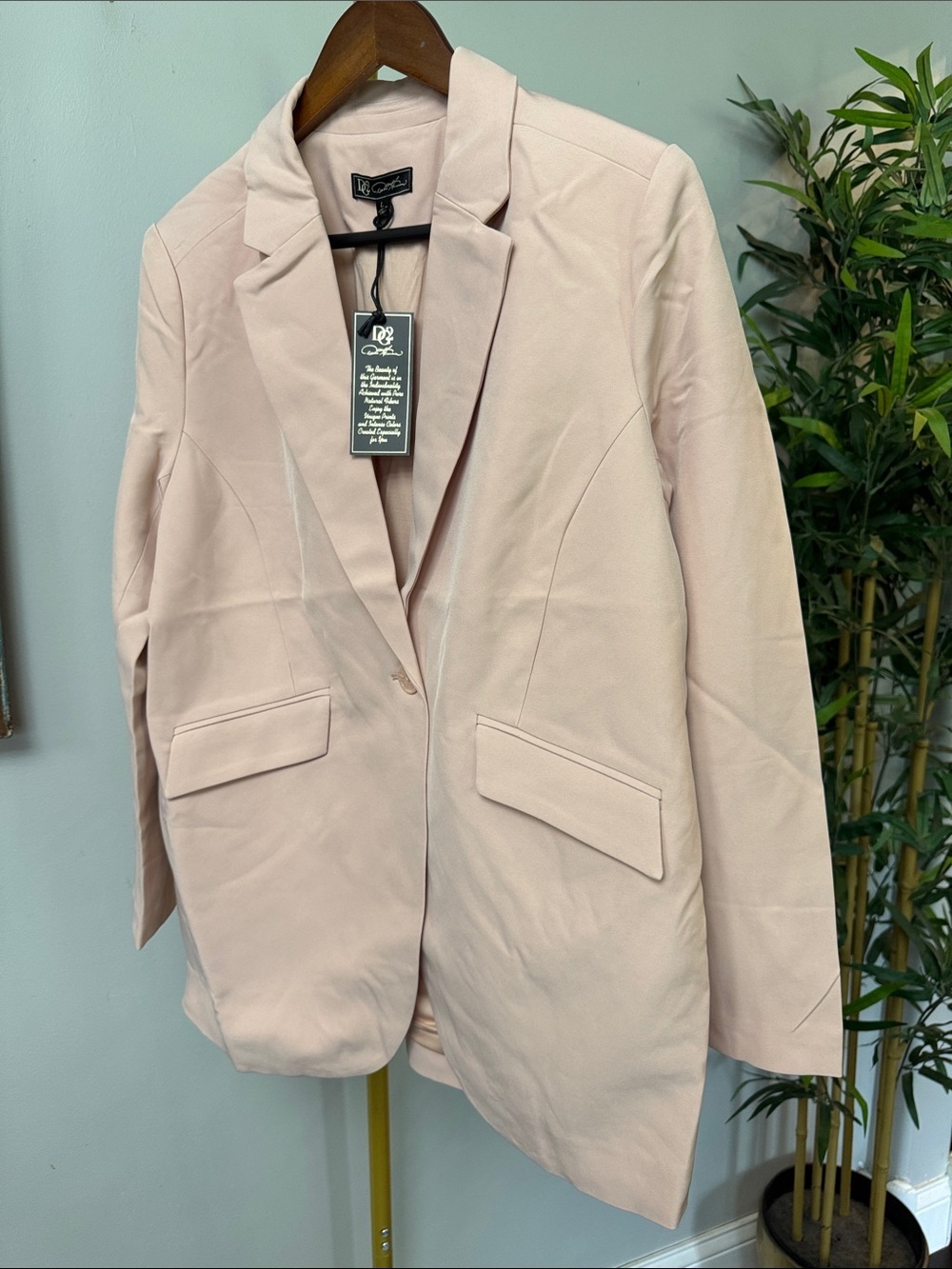 DG2 by Diane Gilman Soft Blush Single-Button Blazer NWT L